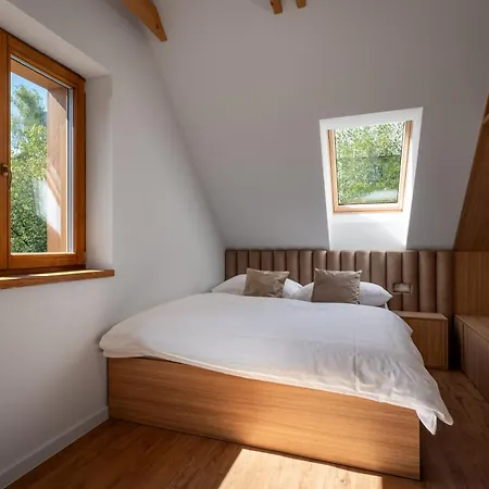 Aparthotel Oravska Drevenica Pribis